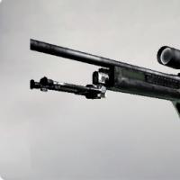 SSG 08 | 青苔虚线 (久经沙场)