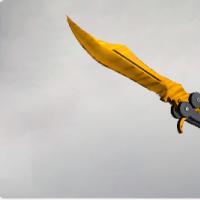 蝴蝶刀（★） | 虎牙 (崭新出厂)