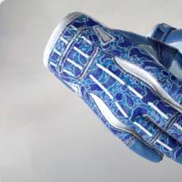 运动手套（★） | 双栖 (略有磨损)