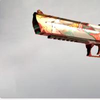 沙漠之鹰 | 沙漠之狐 (崭新出厂)