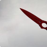 骷髅匕首（★） | 深红之网 (久经沙场)