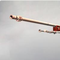 AWP | 九头金蛇 (崭新出厂)